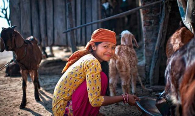 尼泊尔一般都是一妻多夫制,尼泊尔的一妻多夫制婚姻