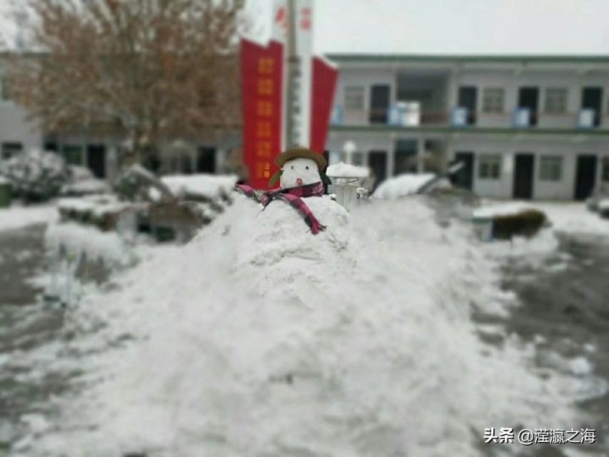 我和我的同桌,同桌的青春年华