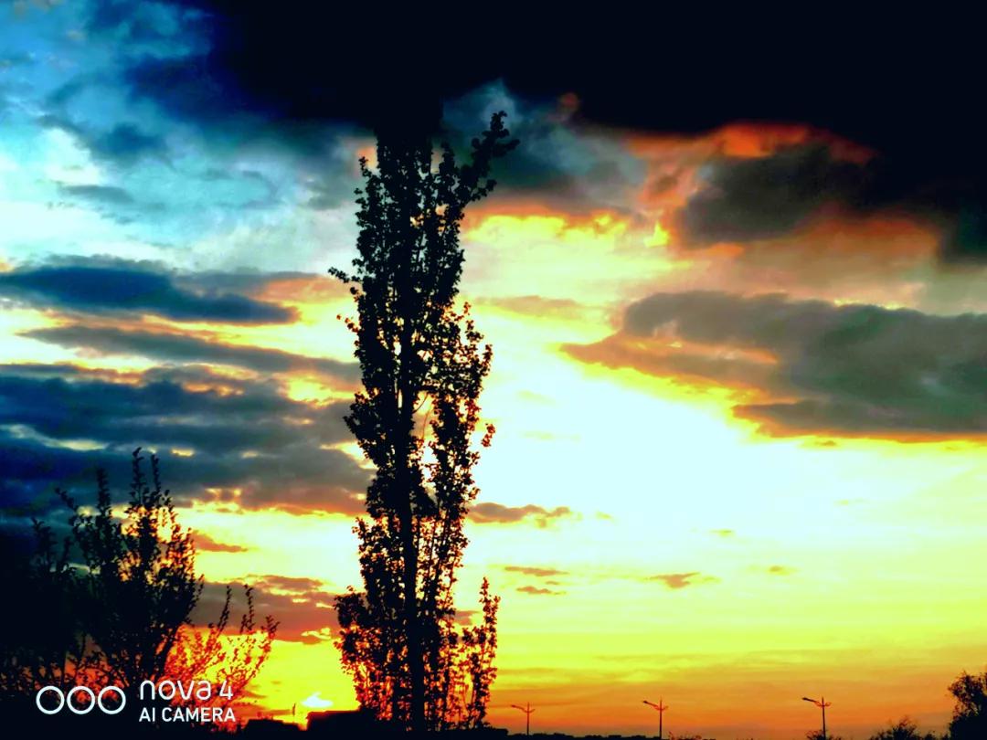 昨日散文,昨天散文