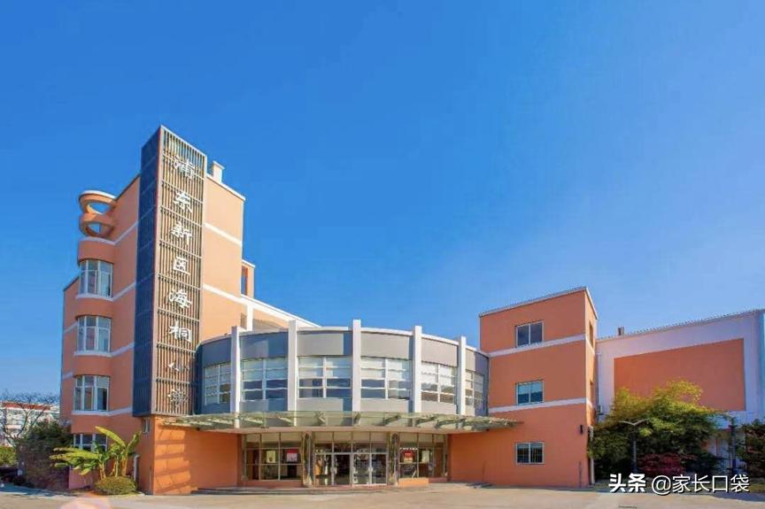 上海十大鸡血学校,上海最好的鸡血小学排名