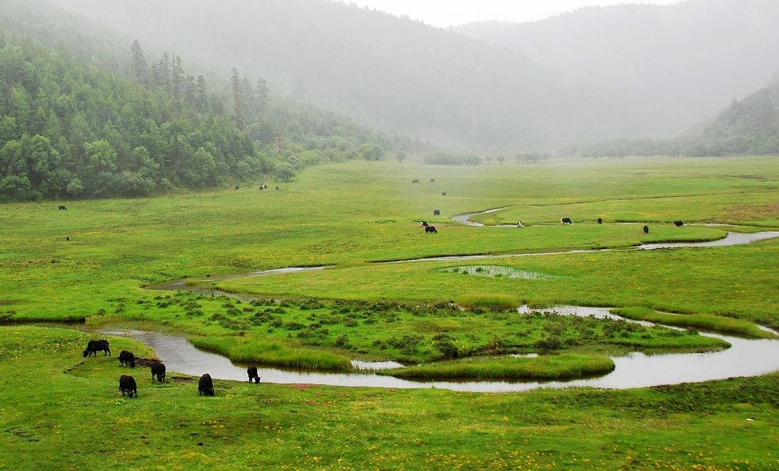 云南旅游游记彩云之南,云南旅游好去处彩云之南