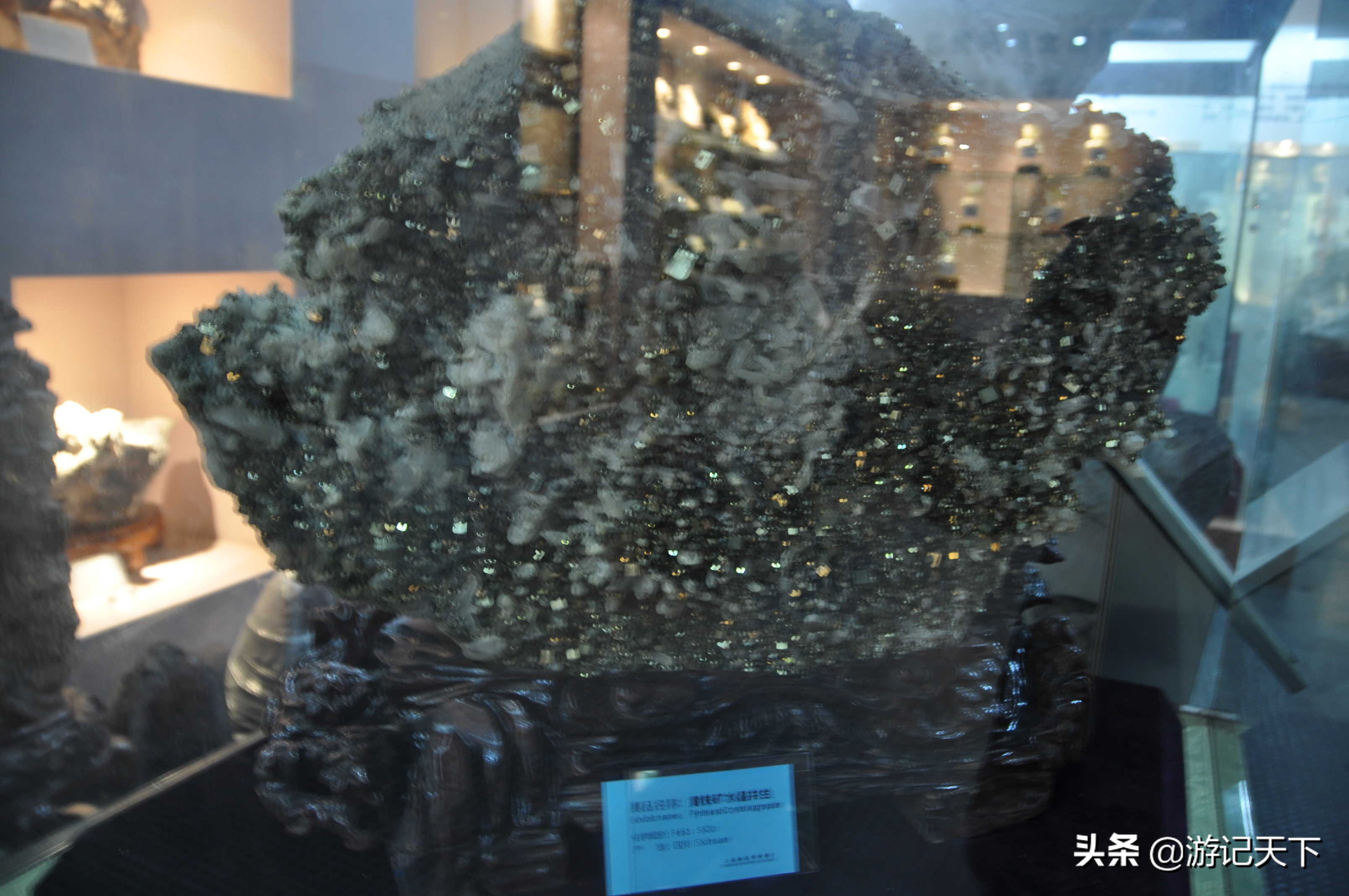 阿尼亚参观博物馆,上海地质科普馆游玩