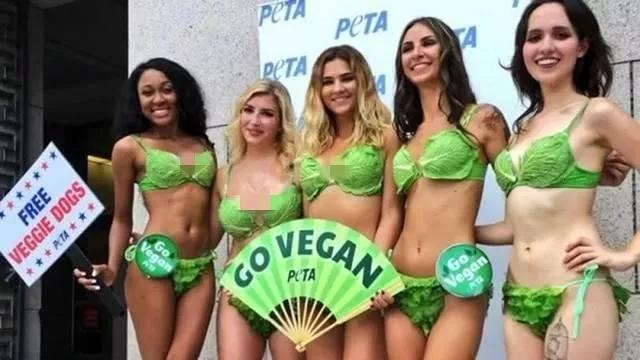 女权，LGBT，黑人，政治正确的江湖中，谁才是王者？