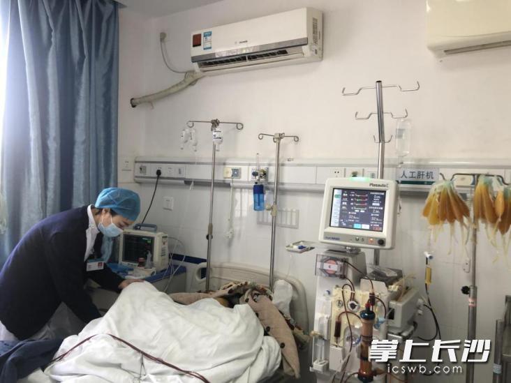 28岁女子查出肝衰竭医生提醒,急性肝衰竭人工肝治疗的成功率