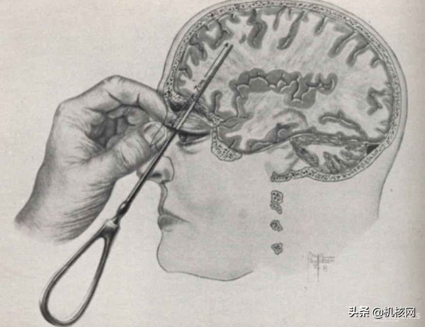 从“知育玩具”到千万级销量,带你了解十多年前的“爆款网红”