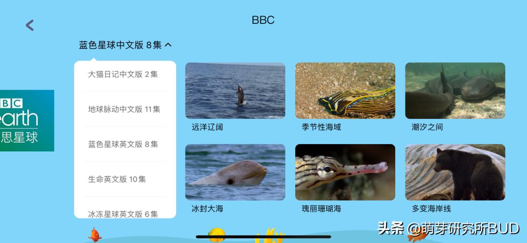 英语启蒙英式英语的app哪个好,幼儿免费英语启蒙app