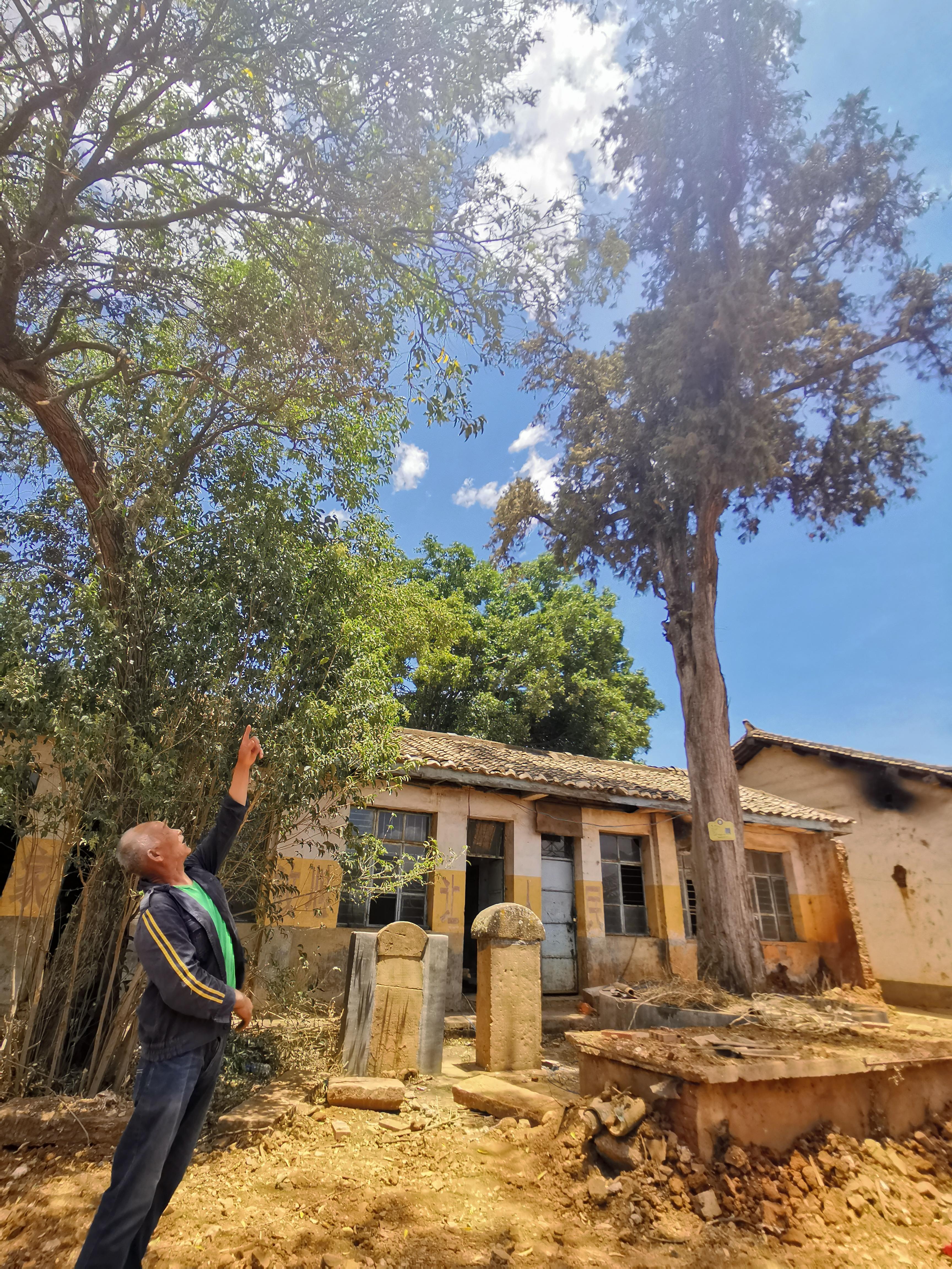 父子同游爷爷走过的马帮路(十):四川南门松坪关