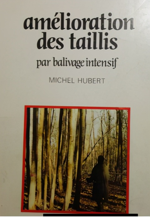 树木由来,树木从远古到现在