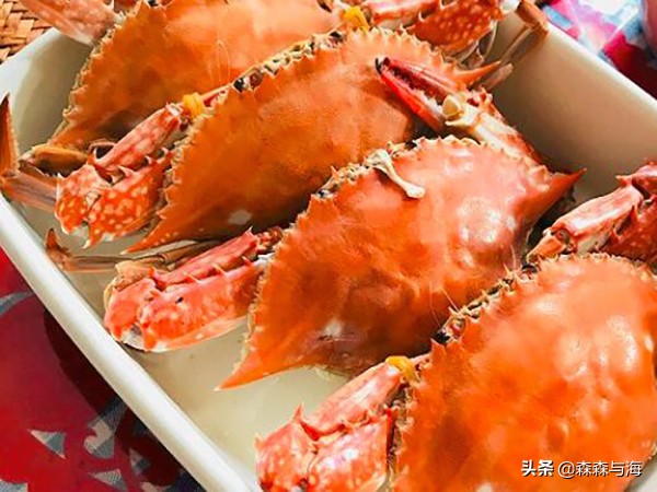 北戴河农家乐住一晚多少钱,北戴河民俗小院1000元