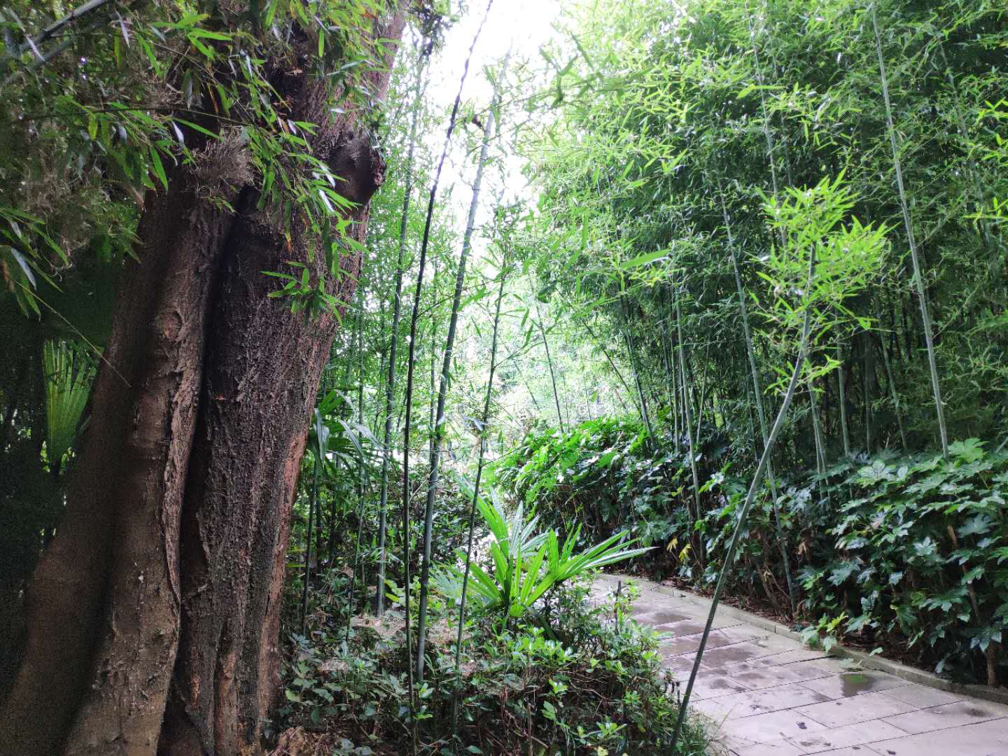 琅琊山醉翁亭欧阳修雕像,琅琊山的醉翁亭