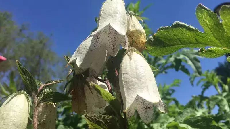 人生遇贵人的经典语录短句,经典语录人生贵人