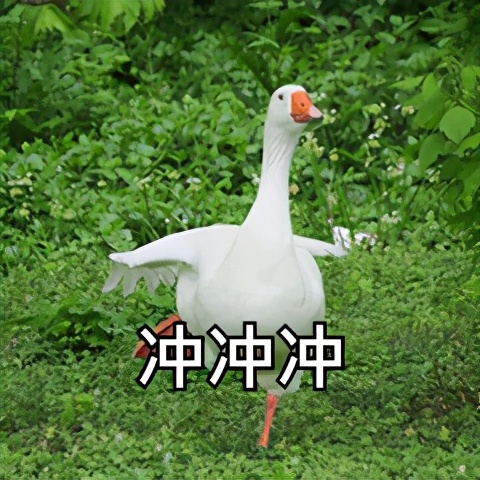 ios15出了后ios14会降多少,苹果手机ios15建议更新吗