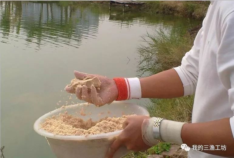 盘点钓鱼人的最高境界,钓鱼人各种奇葩收获