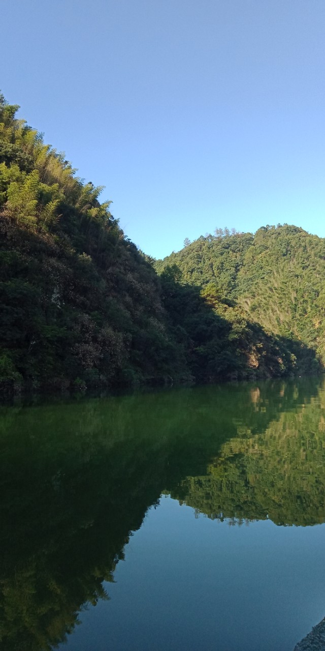 九州文学南京诗社作品,九州文学社作品