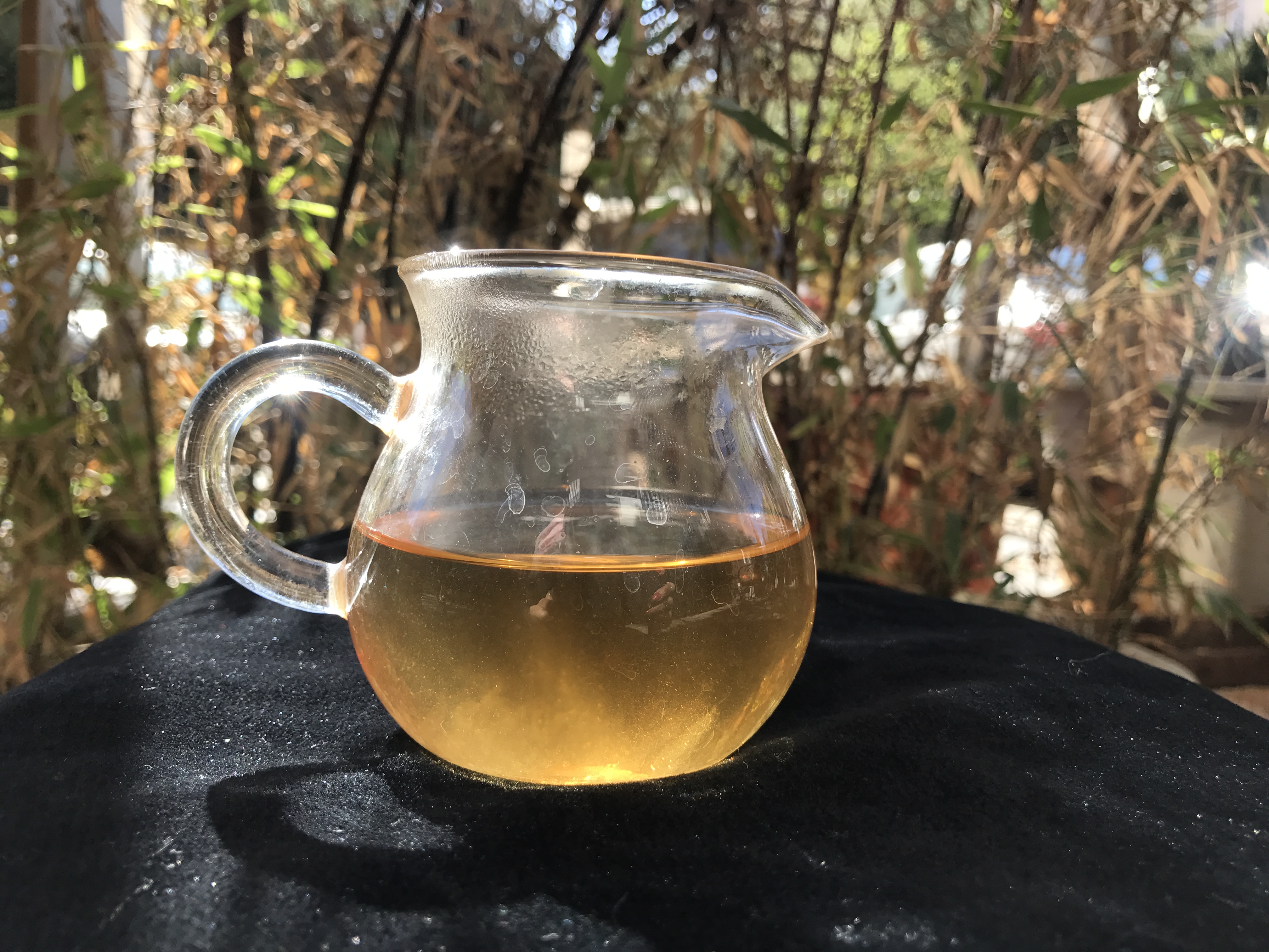 老徐鉴茶第二十一期,老徐鉴茶316期视频