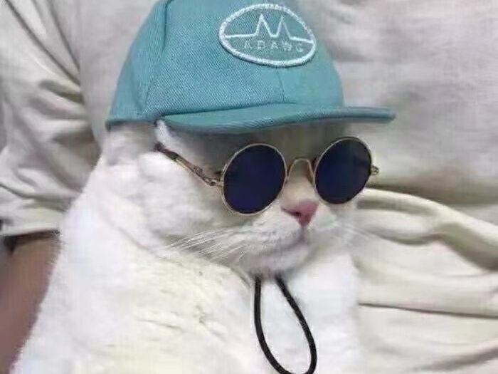 每日一乐幽默段子,每日一乐笑喷的段子大全