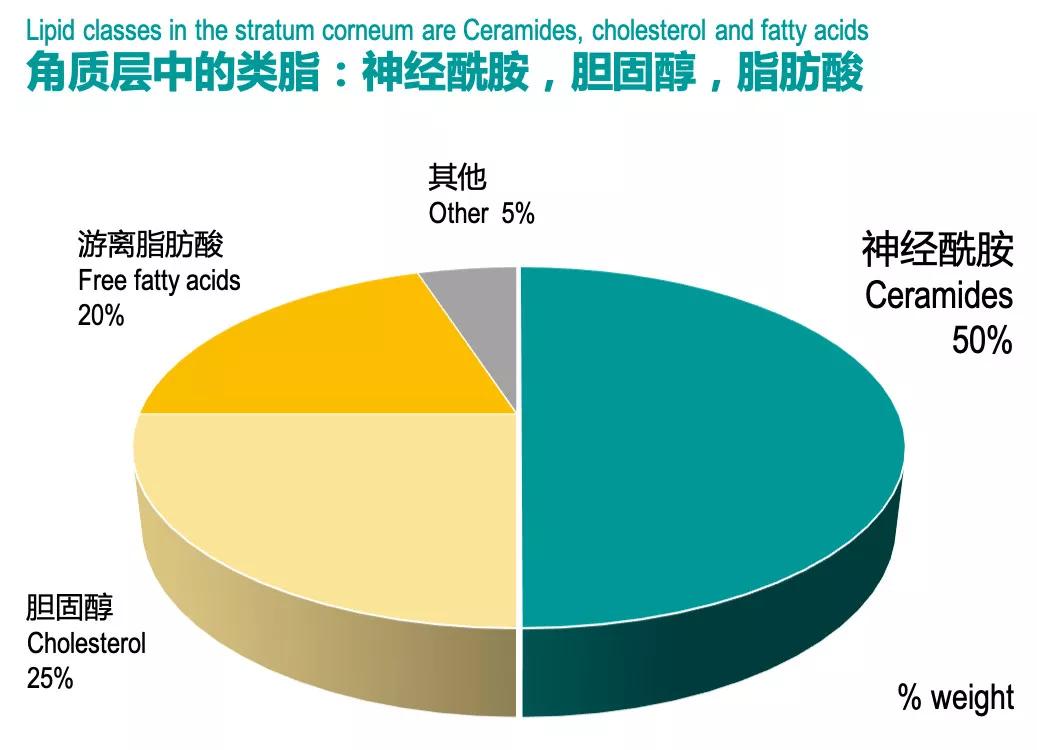 什么样的洗面奶可以美白,什么样的洗面奶是好的
