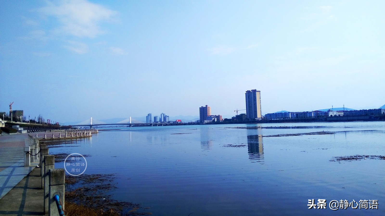 春天在眼前婉约,我们在一朵花前,聆听年少的情丝