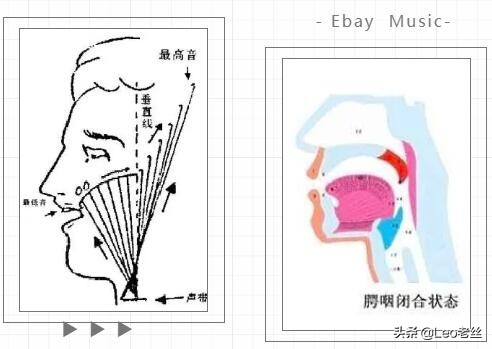 头腔鼻腔胸腔共鸣唱歌技巧,鼻腔头腔胸腔共鸣怎么结合起来