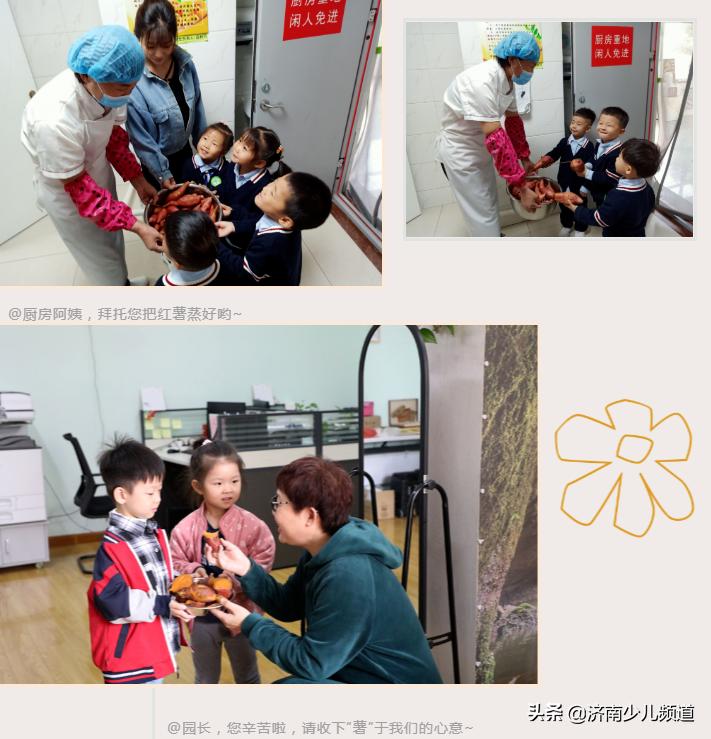 幼儿园红薯生成课活动方案,幼儿园科学教案红薯的成长过程