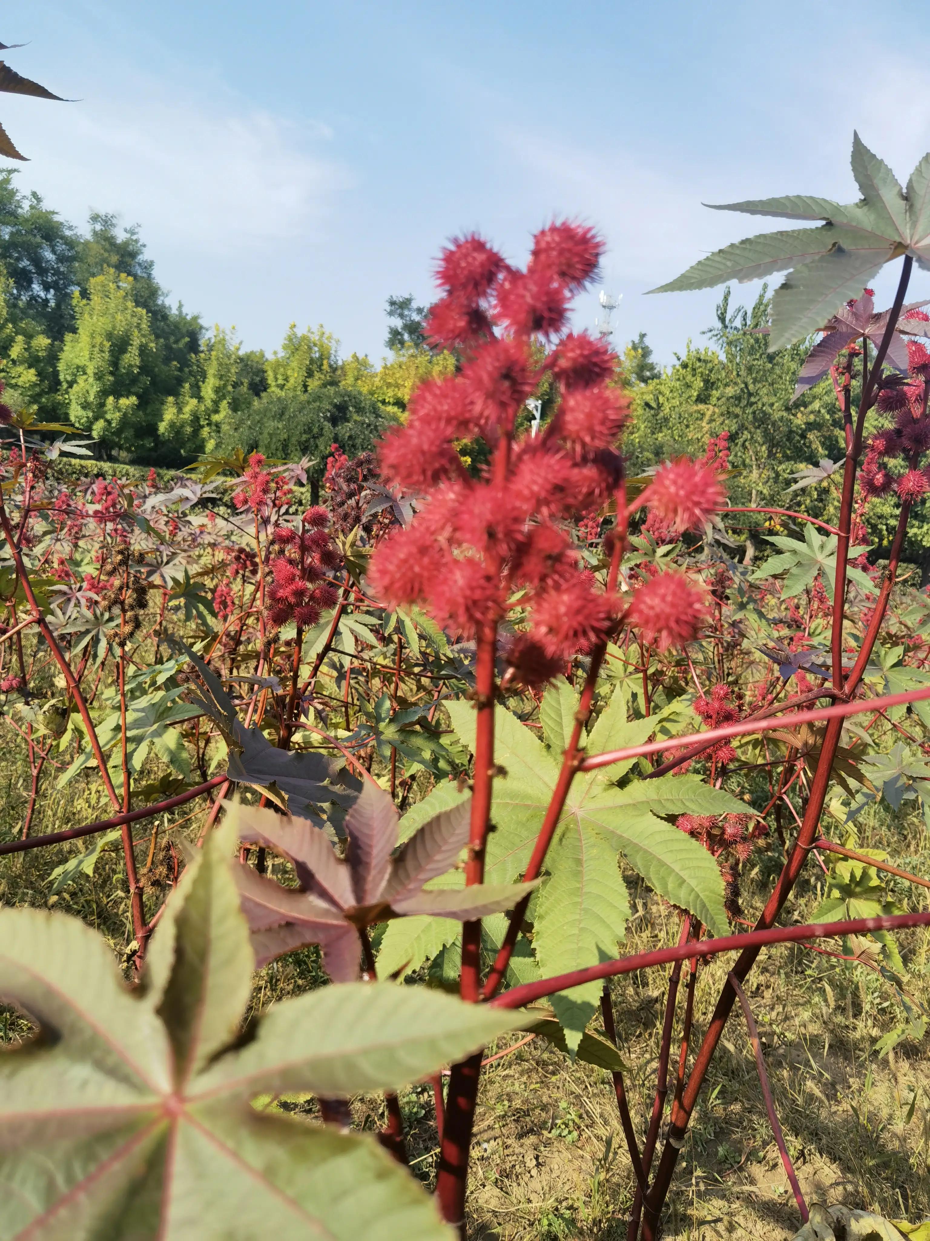 无论你考多少分都能有提升,不要一见面就问考了多少分