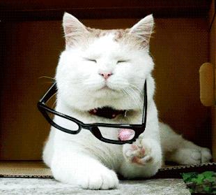 杭州这家店拥有优质的服务，隐形眼镜、老花眼镜的百年老字号企业