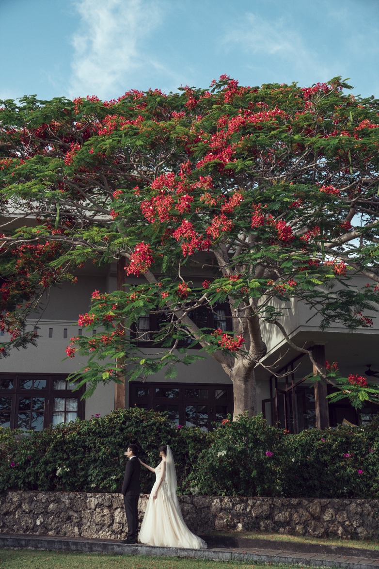 如何办个简单小型的婚礼,如何办一场只有俩人的婚礼