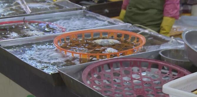 心痛的感觉！八种海鲜暂别啦