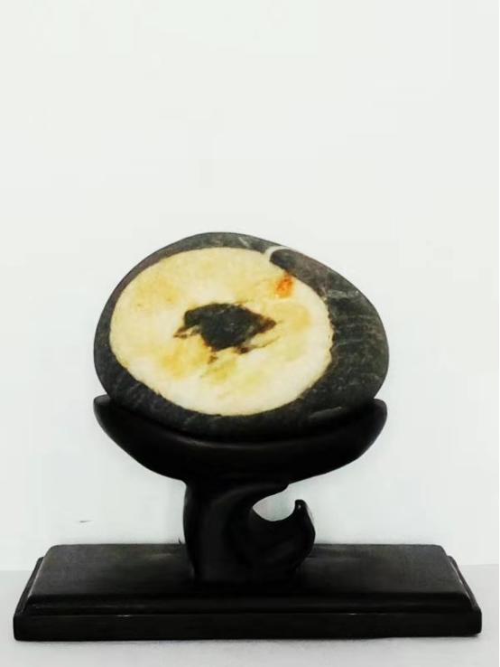 都是些什么“鸟石”？保证有你好看