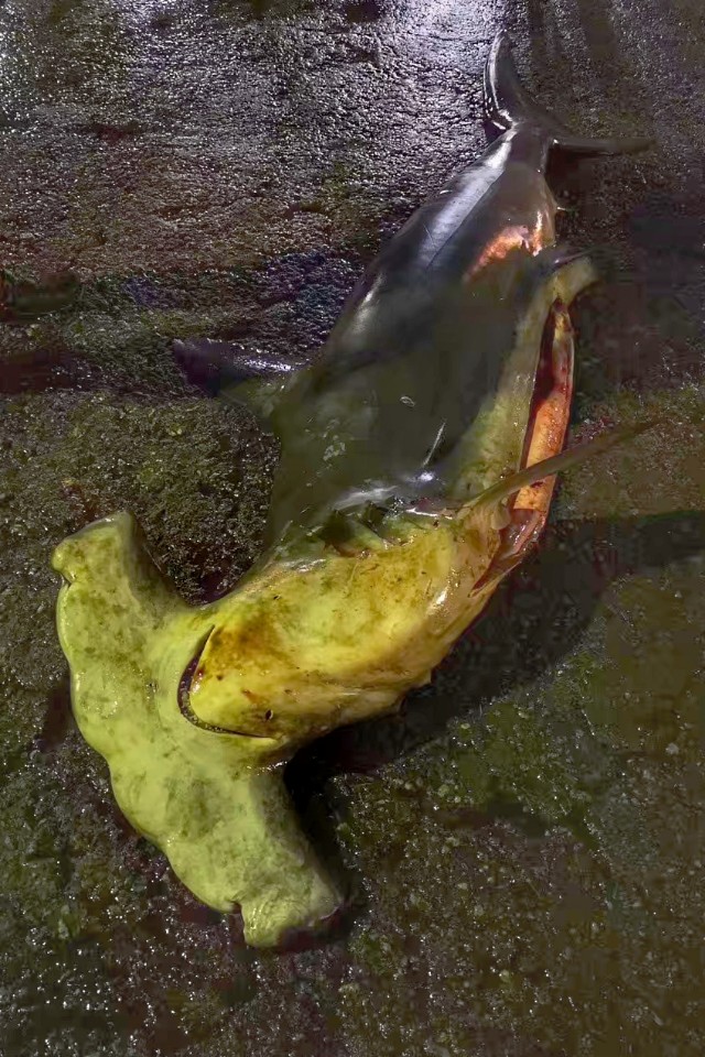 说走就走的旅行拒绝私聊,说走就走旅行没有尔虞我诈