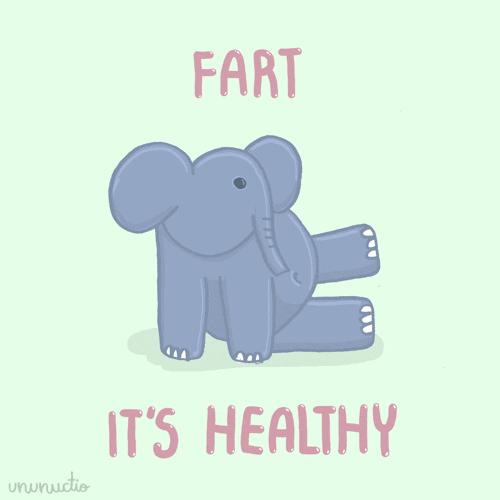 小孩蛋白质吃多放屁臭怎么解决,蛋白质吃多了放屁臭是什么原因