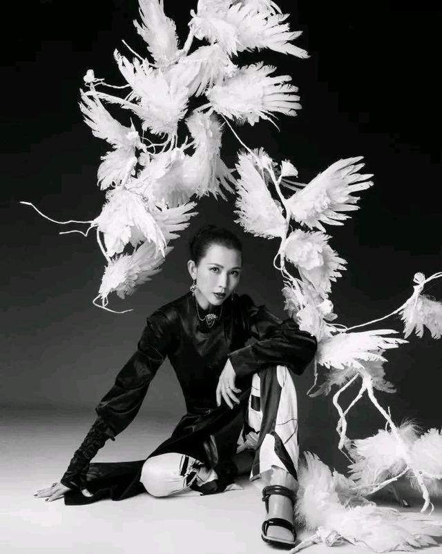 八卦爆料：蔡少芬、佟丽娅、奚梦瑶、晋久、许鞍华、葛荟婕、阿娇