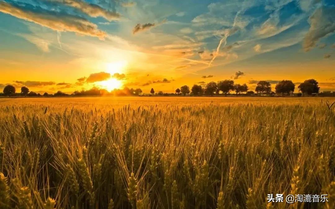 邓丽君离世之谜以及她坎坷一生,邓丽君去世28年怎样纪念她