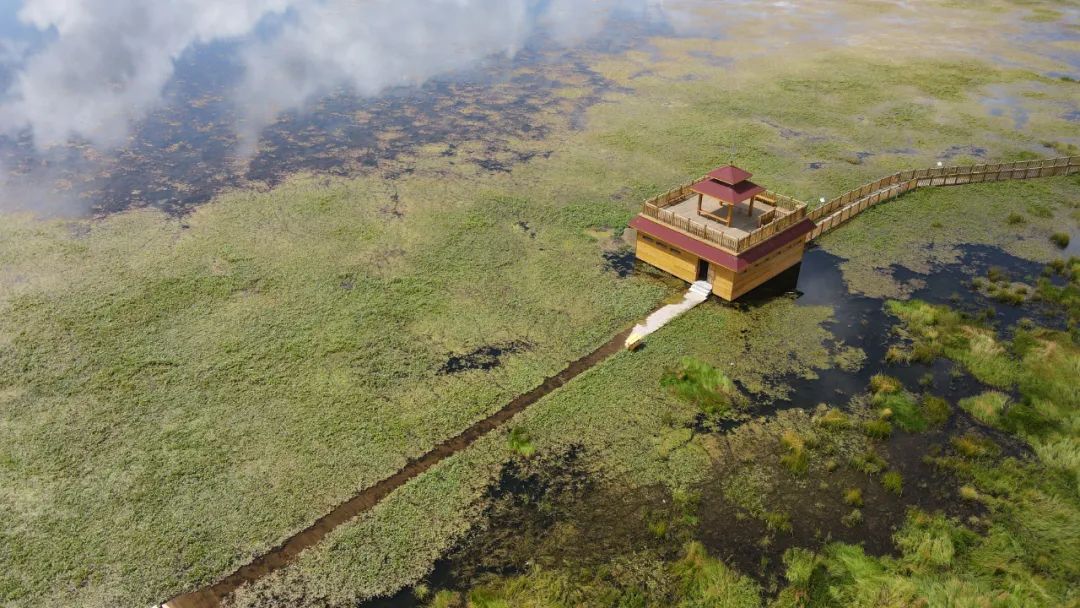 宣言中华民族,光荣属于英雄的中国人民