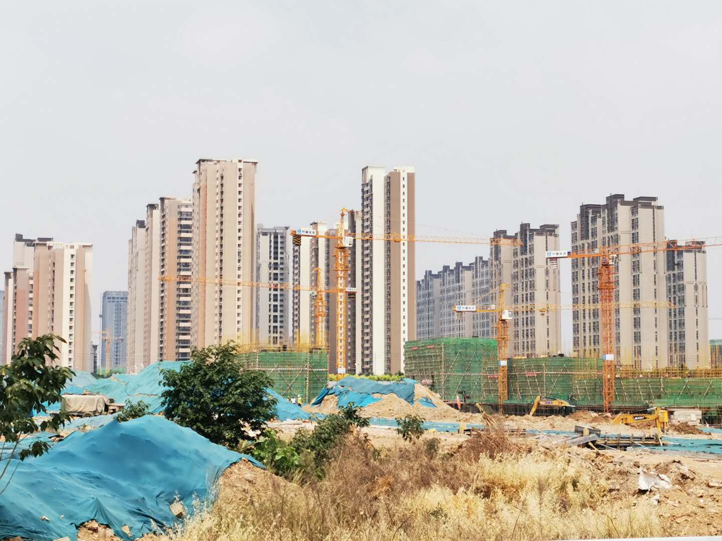 周口华耀首府事件,周口华耀首府排号