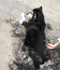 变废为宝绵羊毛衣,变废为宝旧毛衣