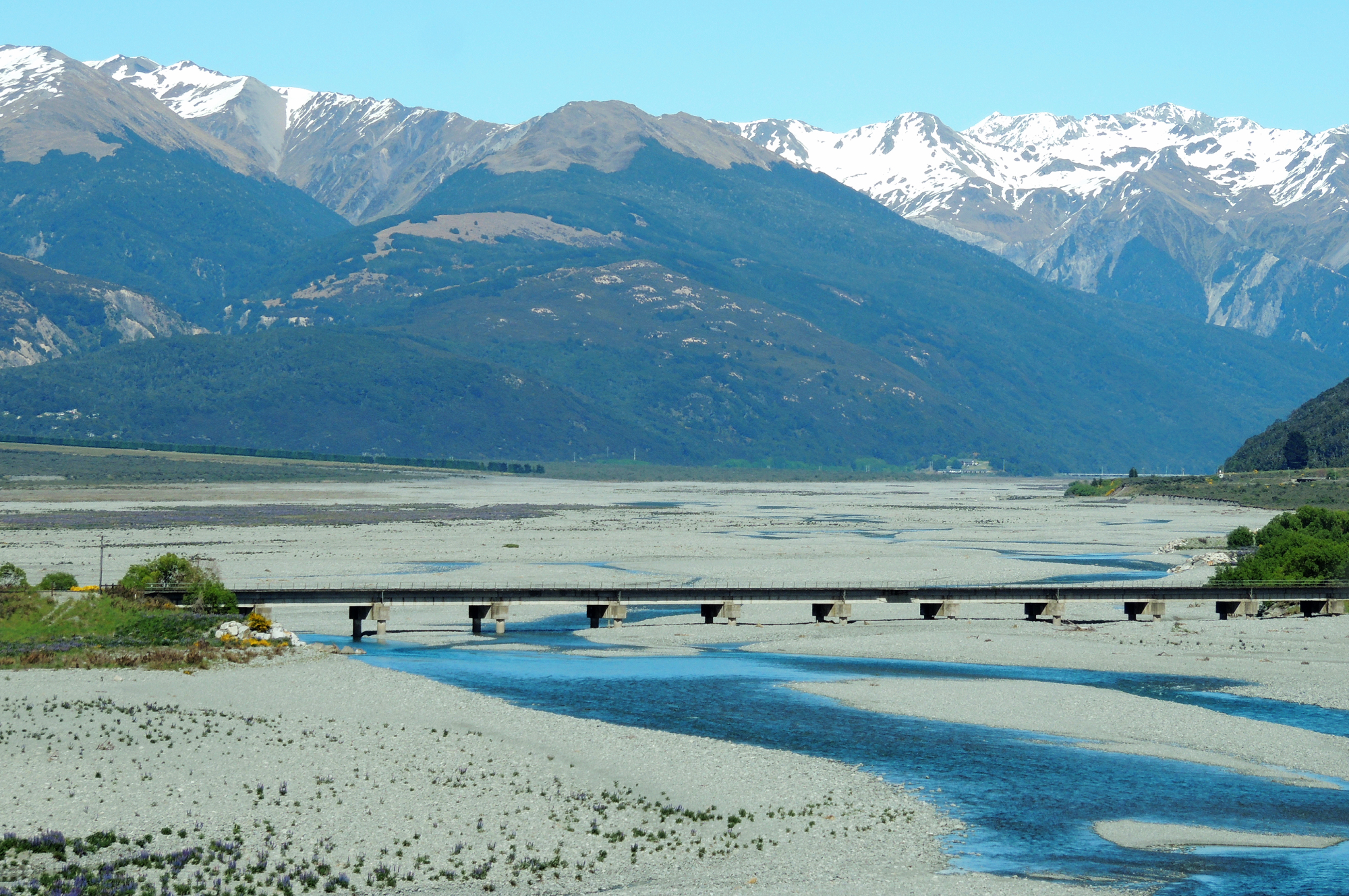 新西兰基督城,没有一个听众,他依旧讲得慷慨激昂