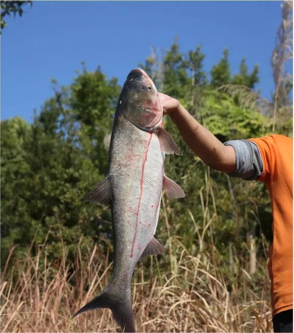 河源职业技术学院春考录取分数线,河源职业技术学院分数线