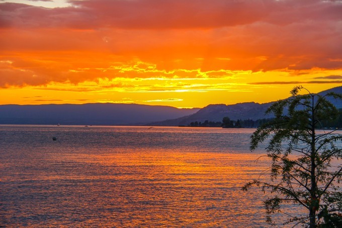 瑞士蒙特勒镇旅游攻略,蒙特勒小镇美景