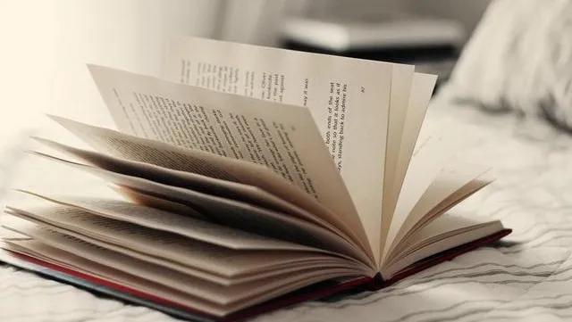 行走在书中的猫,行走在书中作文