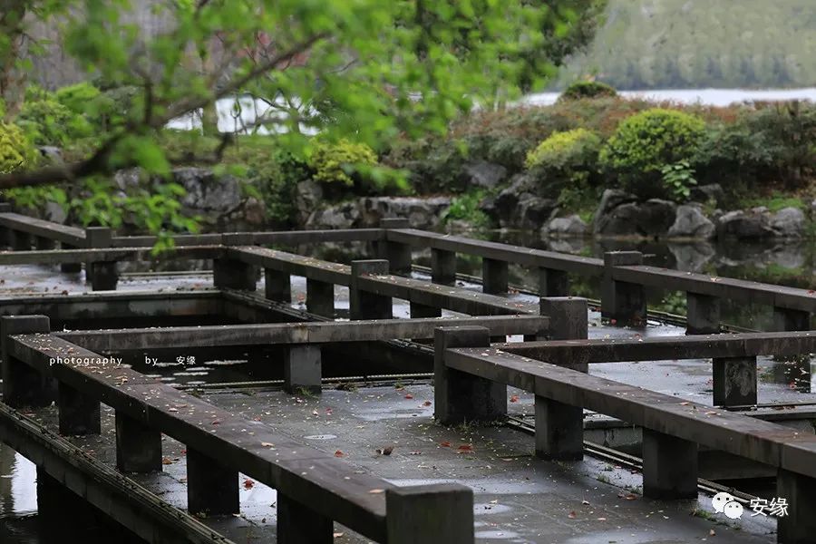 深扒：西湖中的西湖；多国元首下榻的540亩国宾馆的神秘面纱