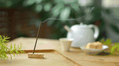 艾草是个宝神奇功效,艾草真的那么好吗