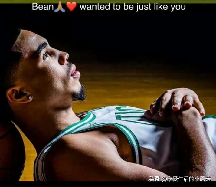 塔图姆紫色护腕,塔图姆手臂护腕