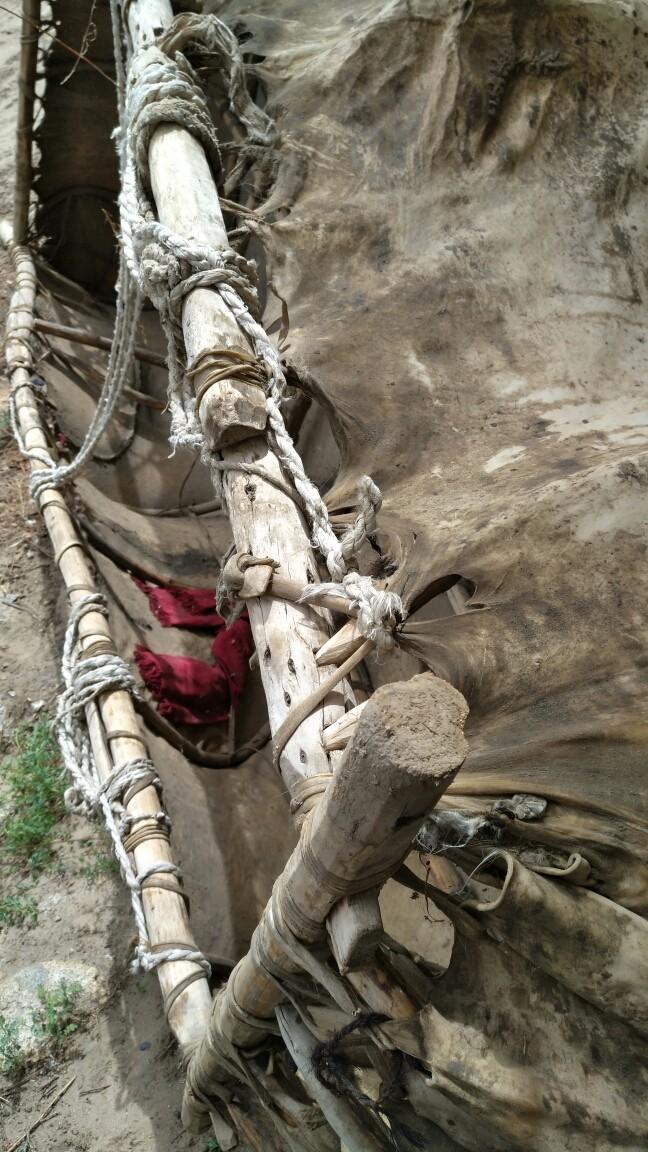 生存才是硬道理谁说的,生存才是硬道理