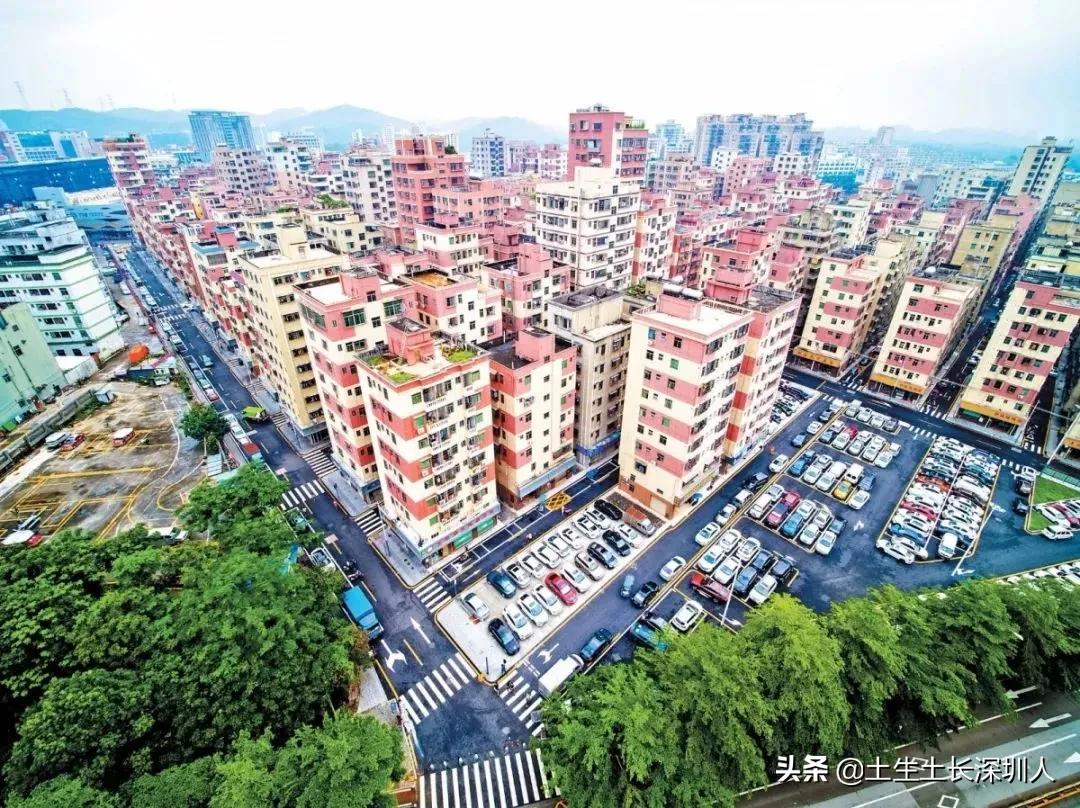 大浪地名,大浪有哪些地名