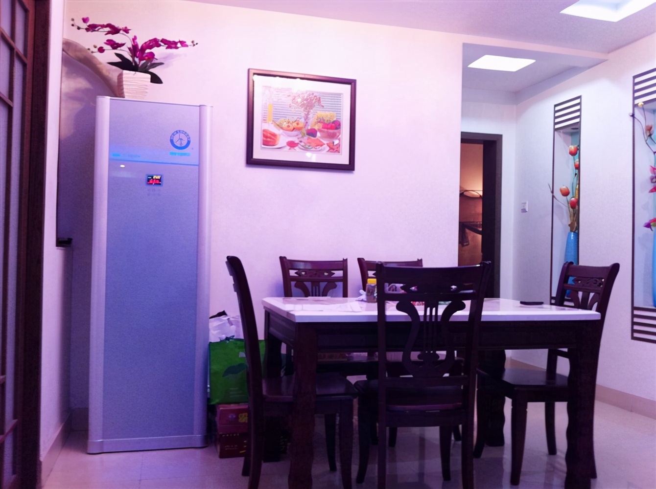 燃气热水器怎样选择防中毒,防止燃气中毒的燃气热水器