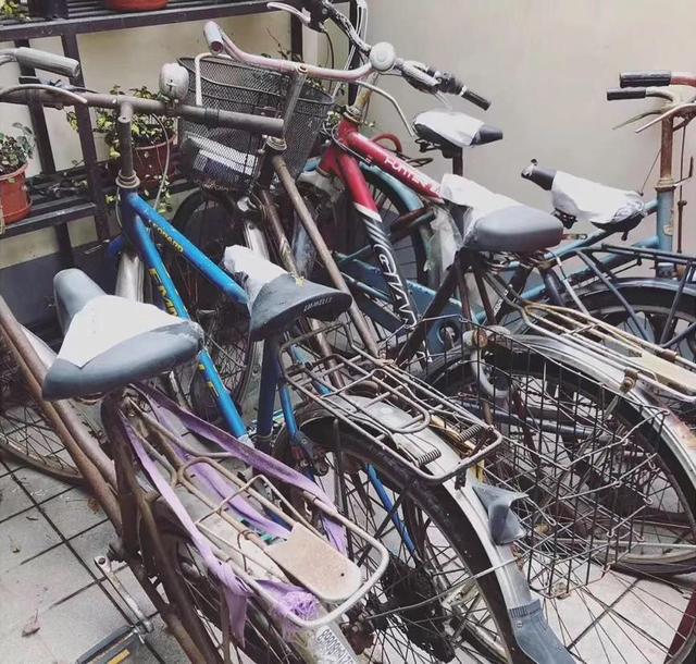 素希艺术：“僵尸自行车”飞上彩虹涂鸦？给废品点颜色看看！