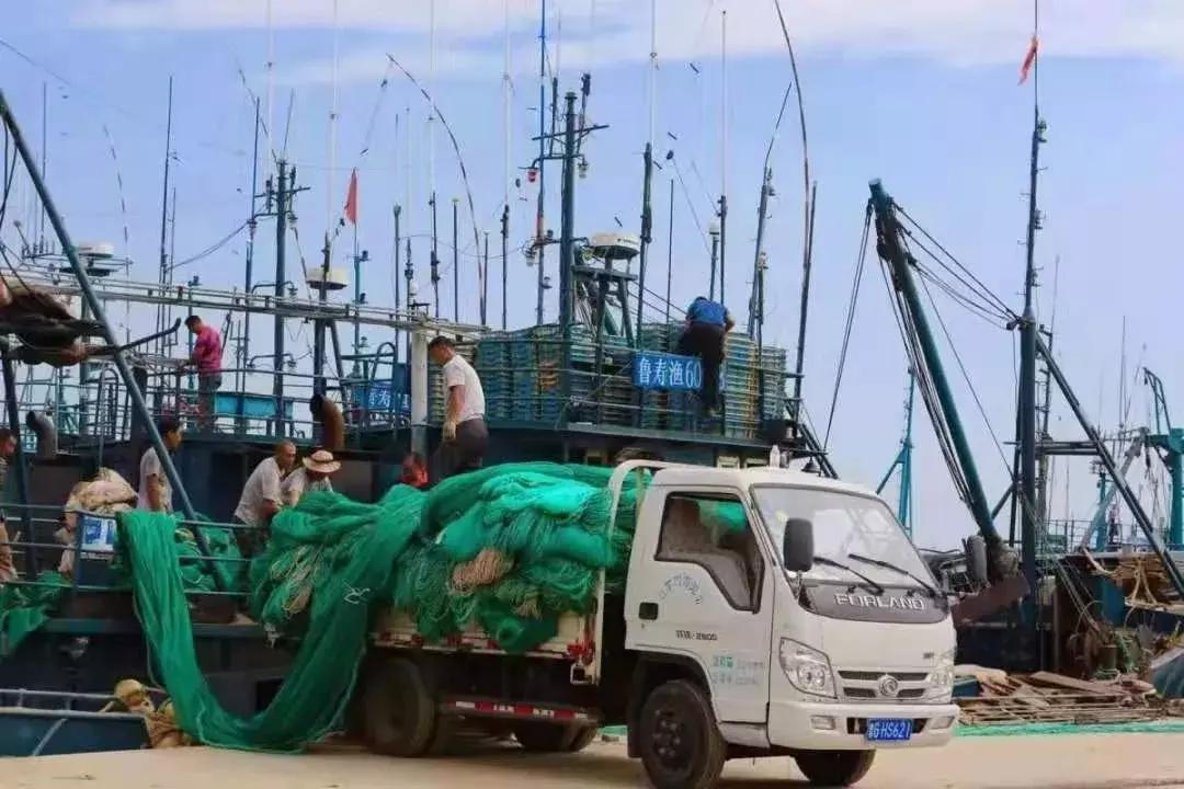 寿光羊口海鲜什么时间去合适,寿光羊口开海时间