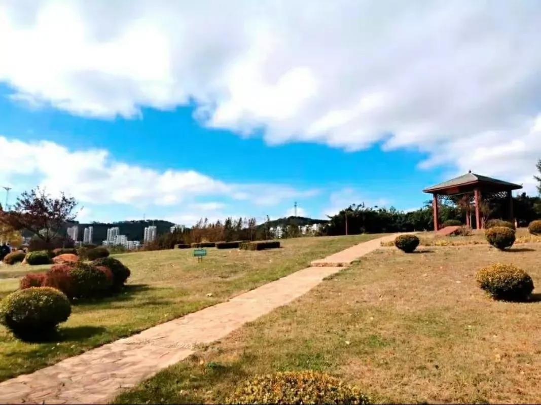 辽宁师范大学辽宁省一流课程,辽宁省普通高等院校