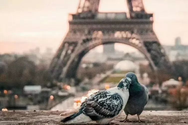 英国划算购物必买清单,英国必买17种购物清单